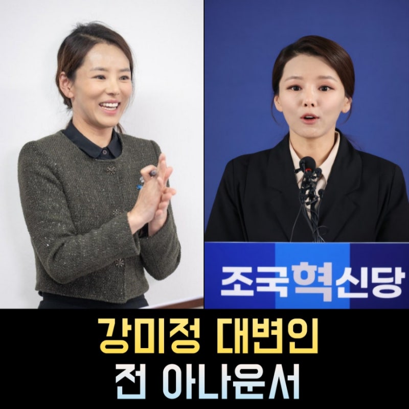 강미정 대변인 프로필 - 나이 고향 학력 경력 전 아나운서