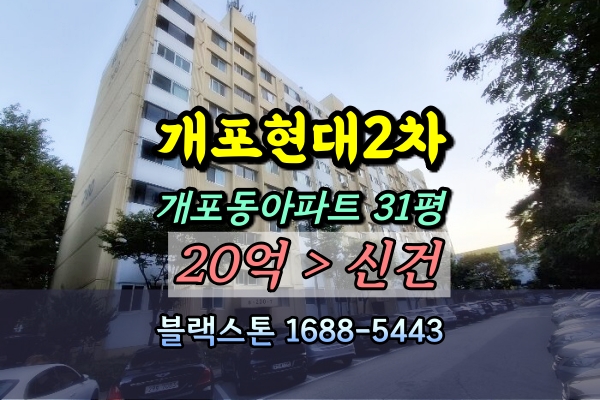  개포현대아파트 경매 30평 [2024타경119140]