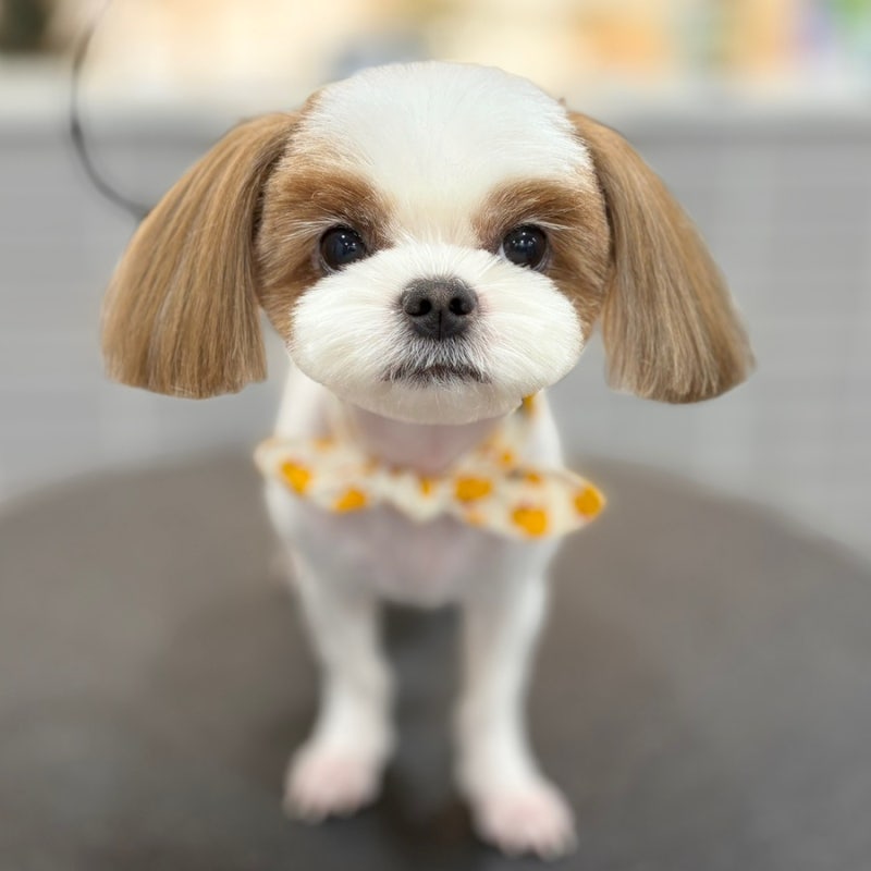 사진 7