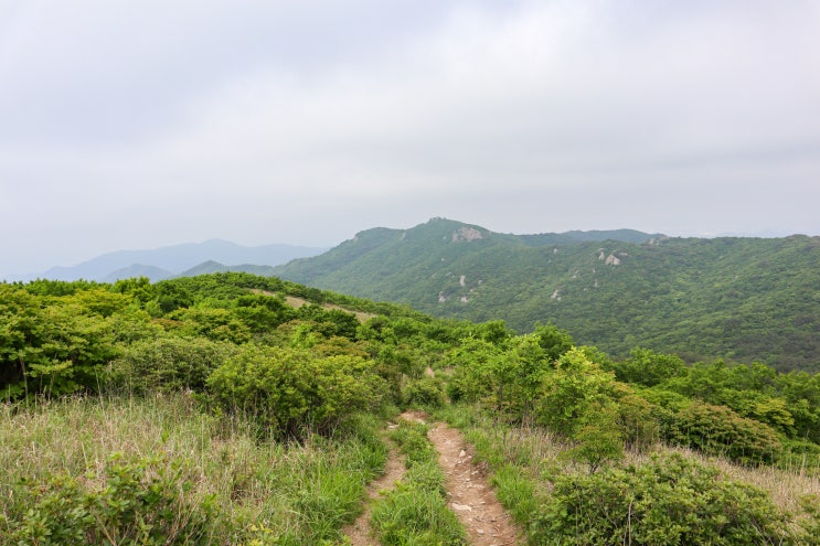  양산 가볼만한곳 천성산 등산코스 최단코스