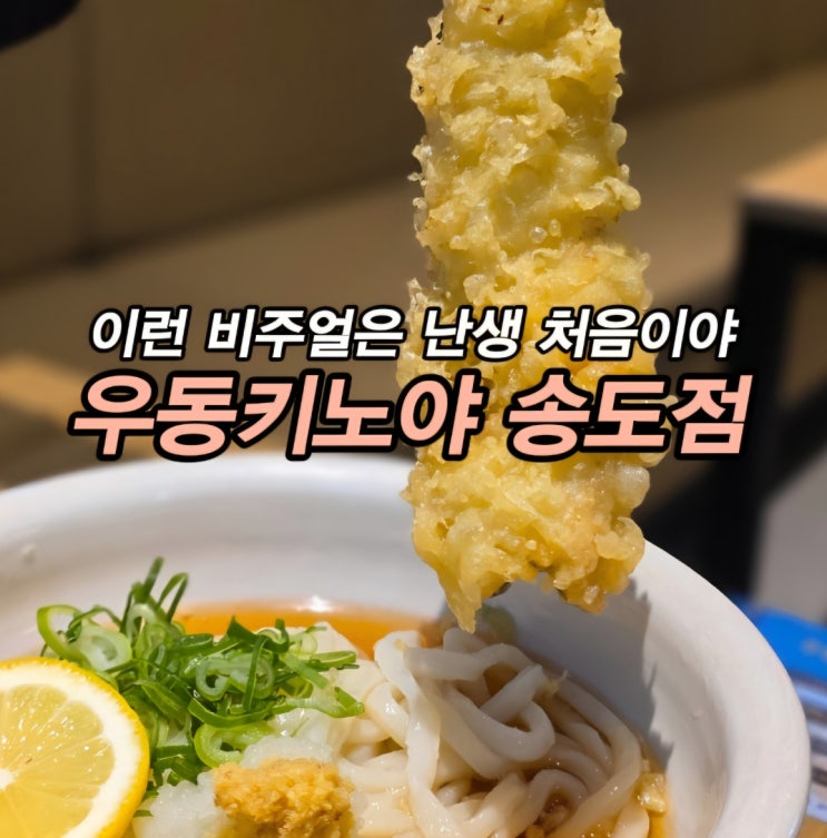  송도 냉우동 돈카츠 맛집 송도 학원가 맛집 우동키노야 송도점