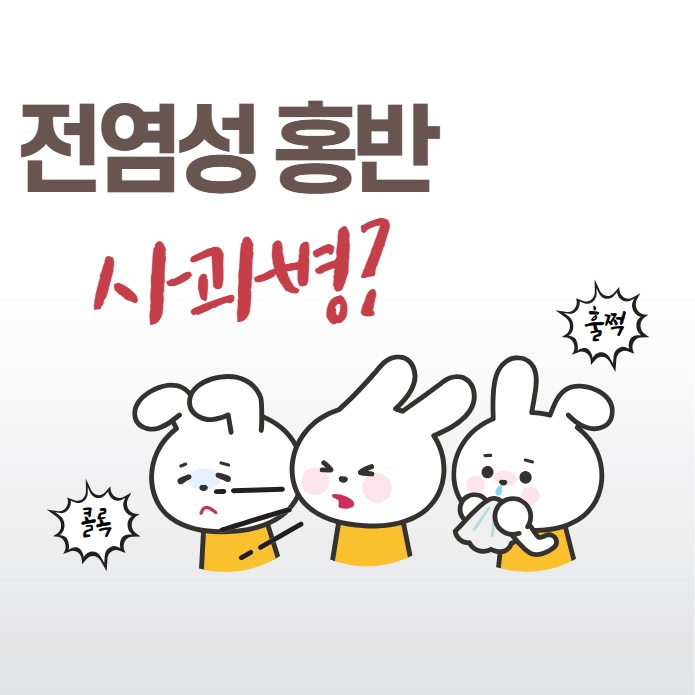  사과병 전염성 홍반 초기증상 전염 예방
