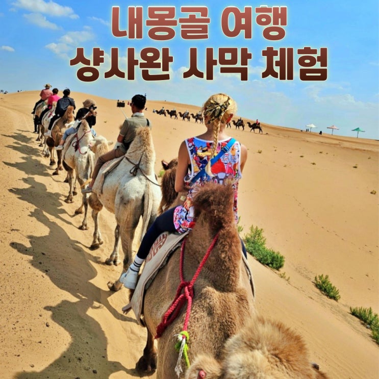  내몽골 여행 패키지 후기 하나투어 샹사완 사막 낙타 케이블카 액티비티 총정리