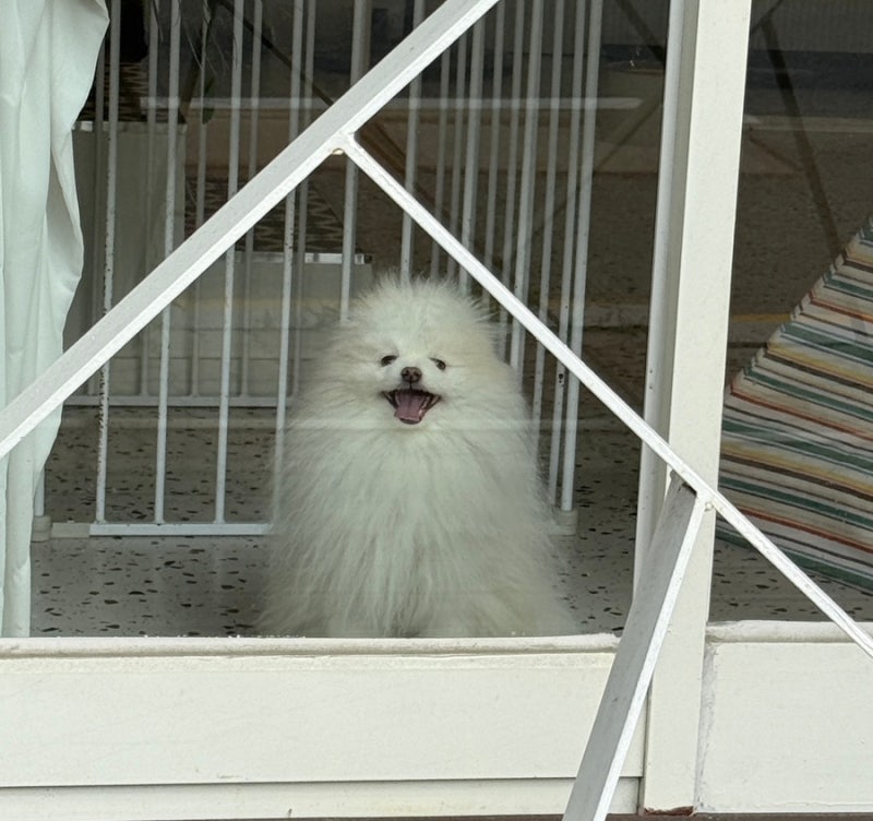 사진 9