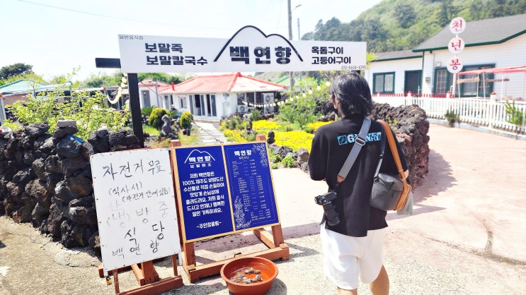  비양도 맛집 백연향 보말칼국수와 해물파전 추천