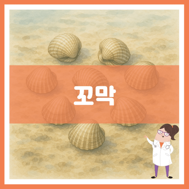  꼬막 효능 부작용 보관방법