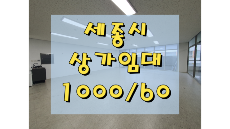  세종시 상가임대 나성동 테라스 사무실·서비스·뷰티업종 추천