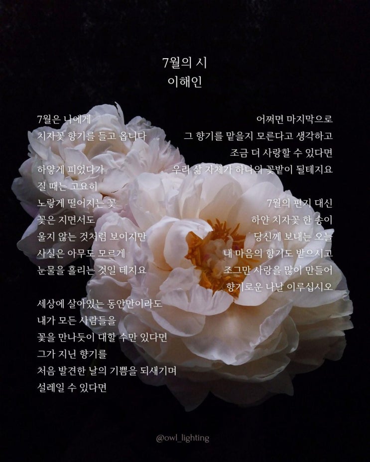 안녕 7월 | 7월의 시️