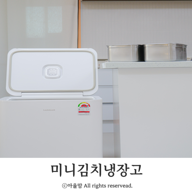 미니김치냉장고 찾는다면? 락앤락 50L 김치냉장고로 해결!