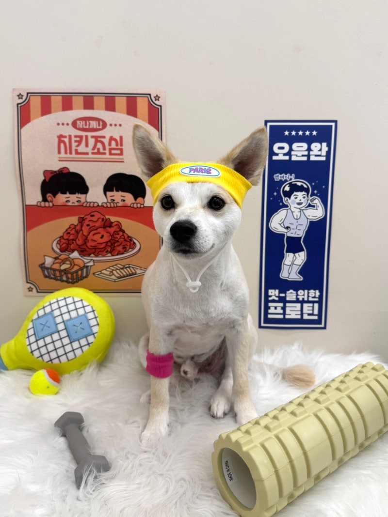 사진 2