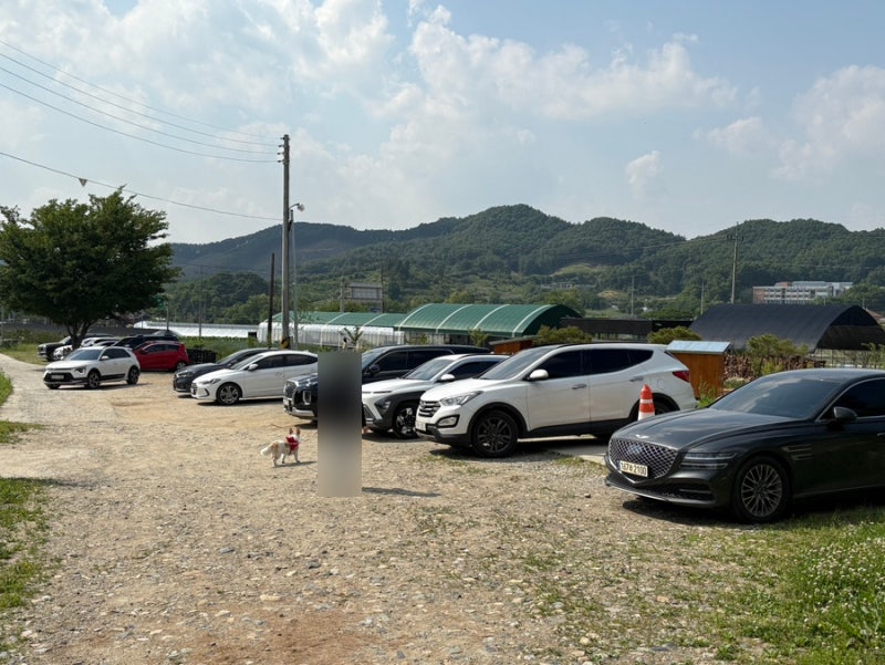 사진 5
