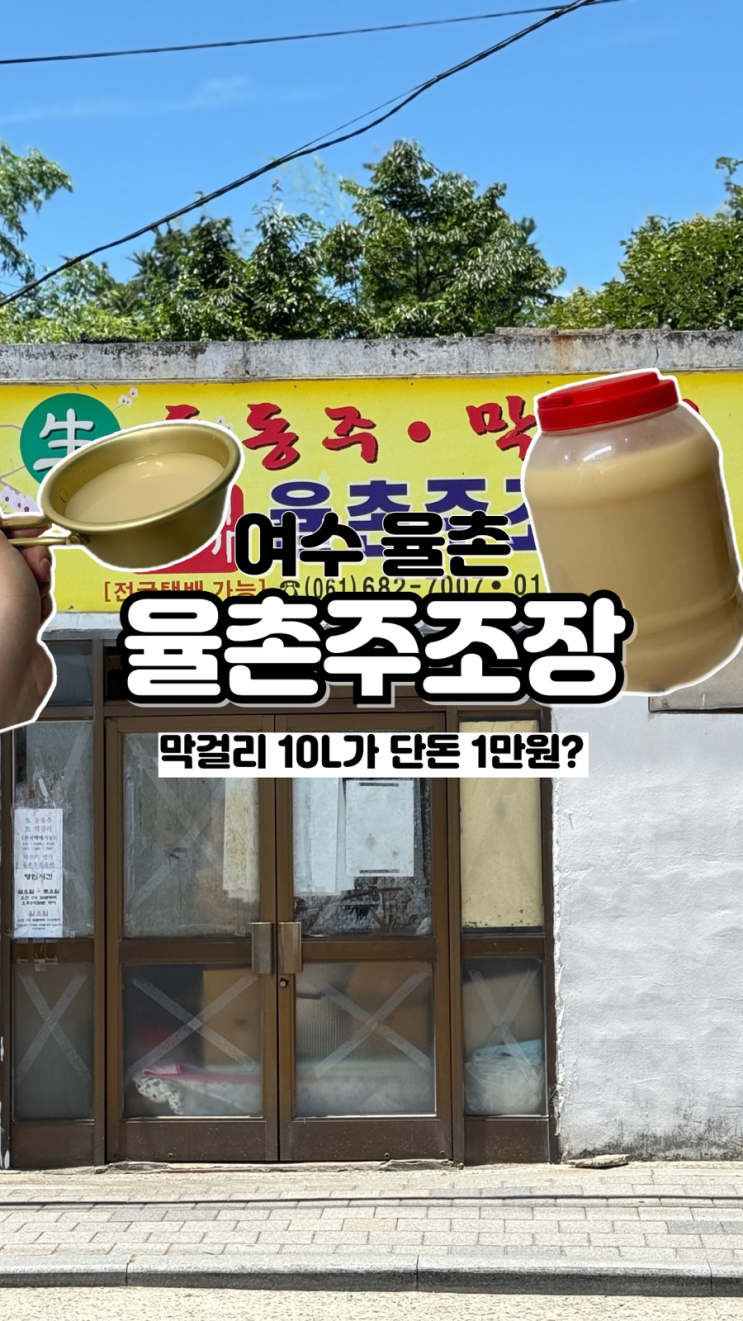  현지인들도 줄 선다는 곳 품절 주의 여수 막걸리 맛집 율촌주조장