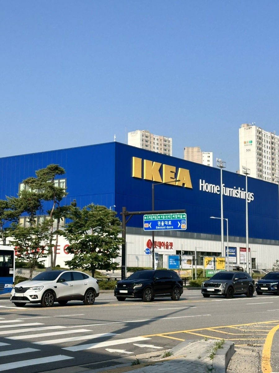 도로시 파스타 연정 마두역점 사진 3