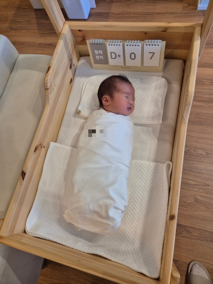 아미노산, 페이퍼백 붓기차, 싸이벡스 아톤5, <b>12시엔 주현영</b>