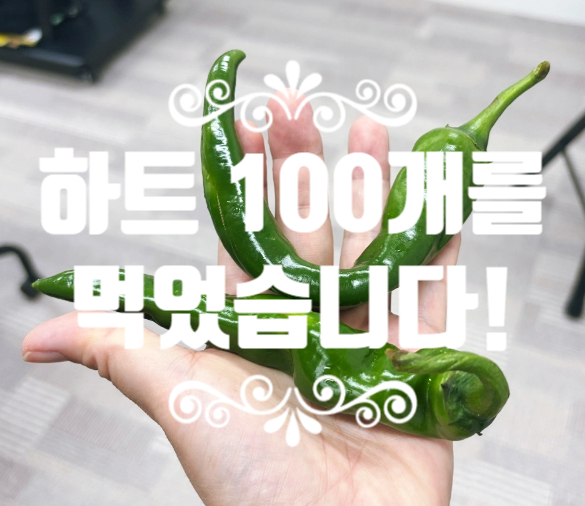  고추 한 알에 담긴 사랑 감사 그리고 하트 100개