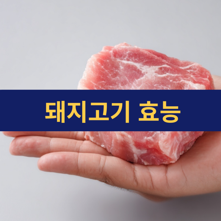  돼지고기 효능 | 돼지고기, 건강하게 먹는 법 | 고품질 단백질의 보고