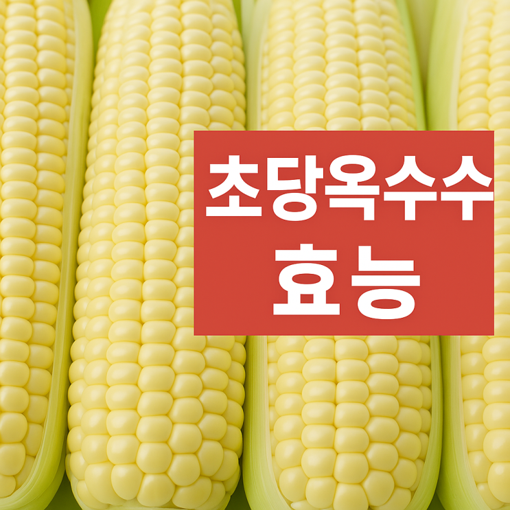  초당옥수수 먹는법, 보관법, 삶는 방법, 전자레인지 조리, 제철, 칼로리, 효능까지 완벽정리!