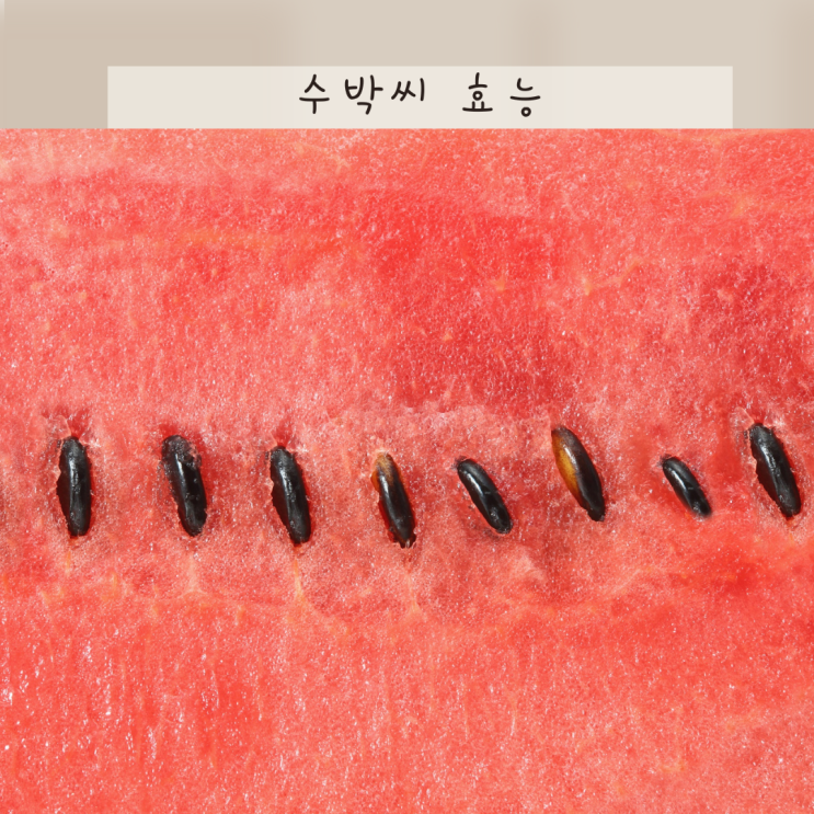 수박씨 효능 7가지! 알고나면 절대 못버리는 이유 알려드려요