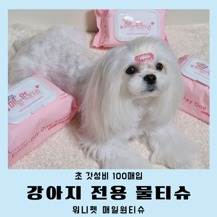  강아지전용물티슈 워니펫 매일원티슈 인플모 후기