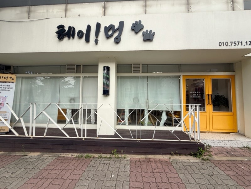 사진 8