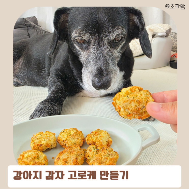  강아지 감자 간식 고로케 만들기
