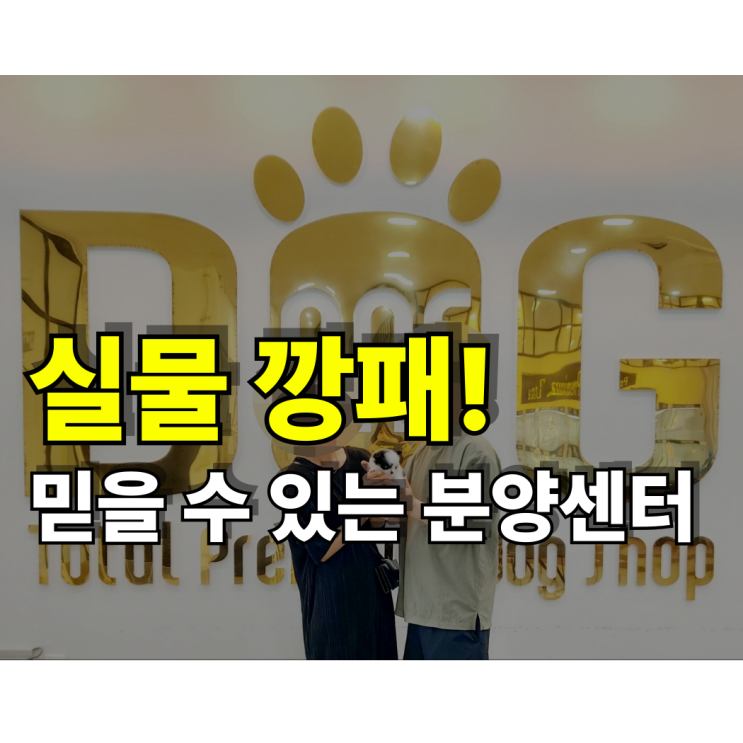  믿을 수 있는 강아지분양 센터 어디? 세종시 11년 운영 원독 장모치와와 분양 이야기