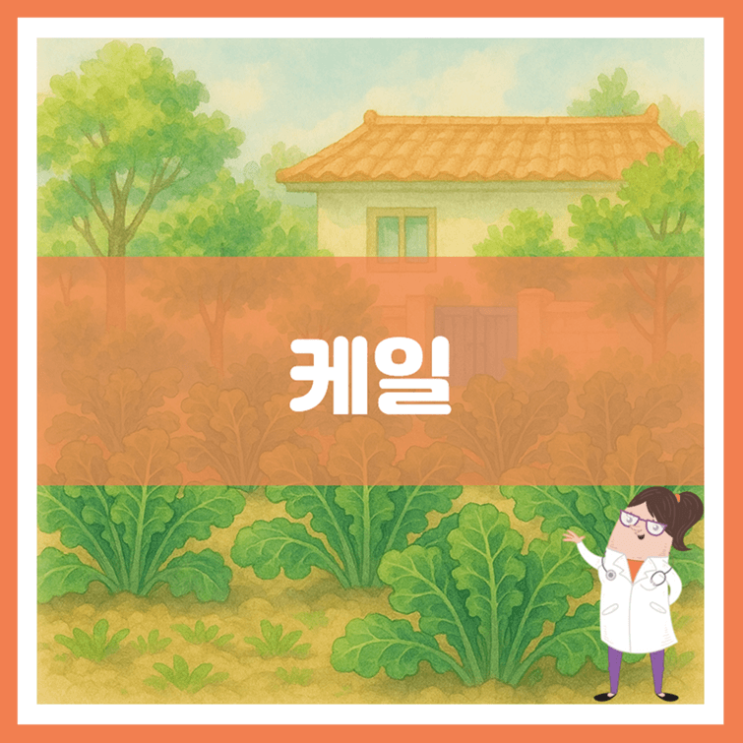  케일 효능 영양성분 부작용