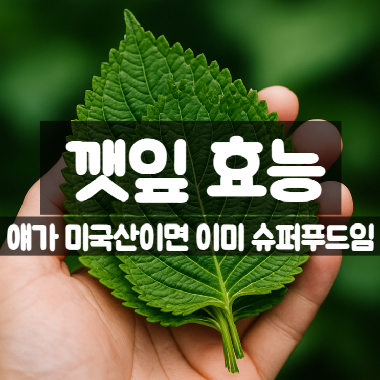  깻잎 효능 성분 먹는법 - 세계 슈퍼푸드 뺨치는 식재료
