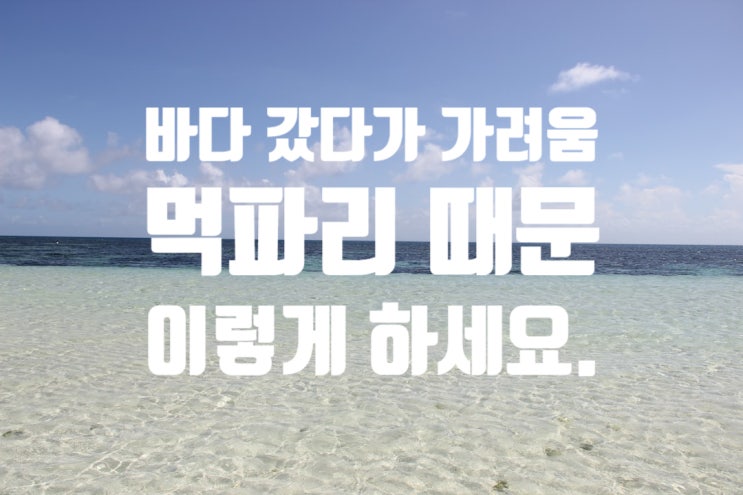  바다갔다가 가려움.흡혈벌레 먹파리.먹파리 물린 자국 언제까지?