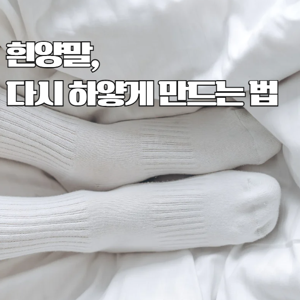 흰양말 세탁, 다시 하얗게 집에서 간단한 세탁법
