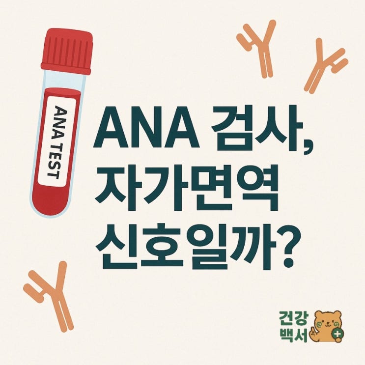  ANA 검사, 자가면역 신호일까?