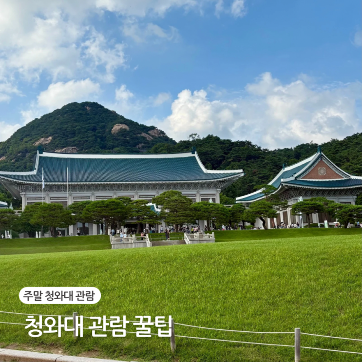  청와대 관람 꿀팁 정리｜본관·관저 관람 동선 후기 (주말 오후 5시 기준)
