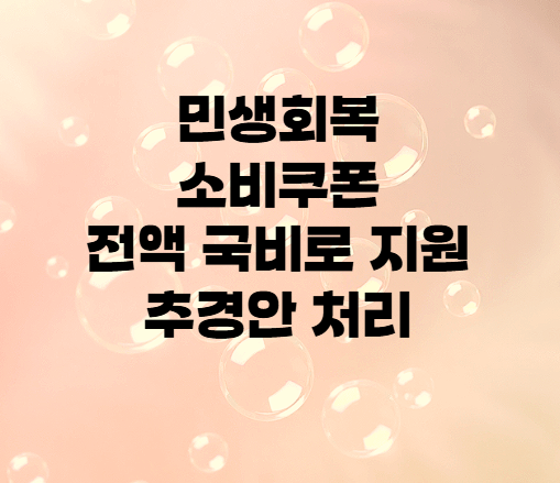 민생회복 소비쿠폰 전액 국비로 지원 <b>추경안 처리</b>