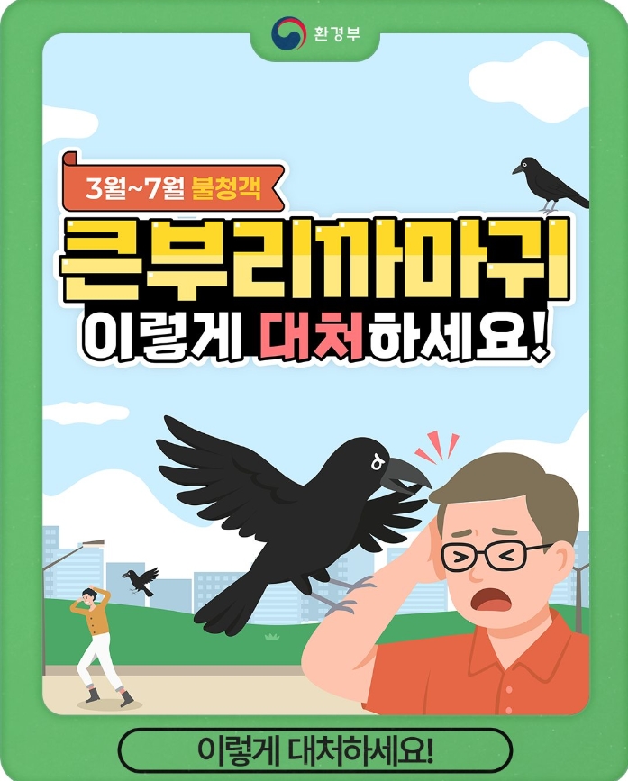  불청객 큰부리까마귀 이렇게 대처하세요!