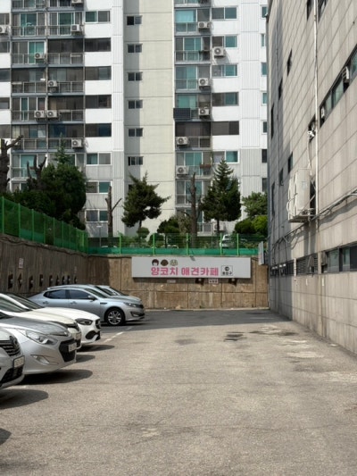 사진 2