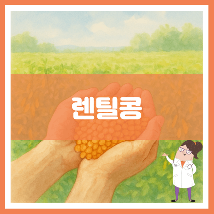  렌틸콩 효능 영양성분 부작용