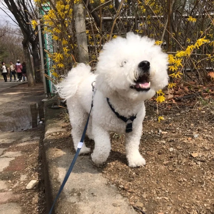  친자확인검사 인천부평에서 상담