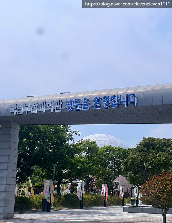  부산 아이랑 가볼 만한 곳 <국립부산과학관> 다녀온 후기