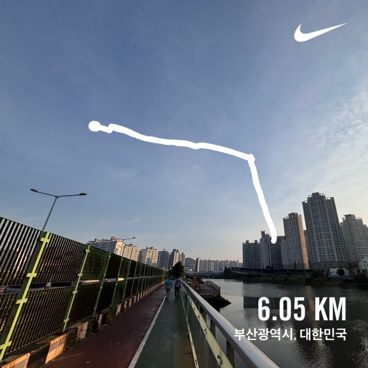  초보러너 12일차 러닝일지｜나이키 페가수스41로 인터벌 훈련과 자세 교정 도전