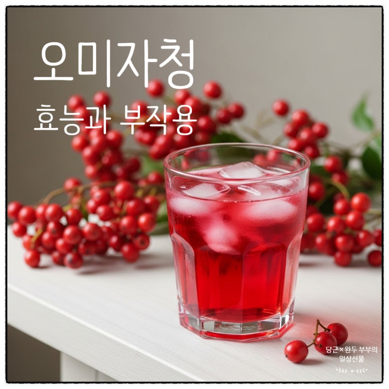 오미자차 효능 부작용 오미자청 임산부 오미자차