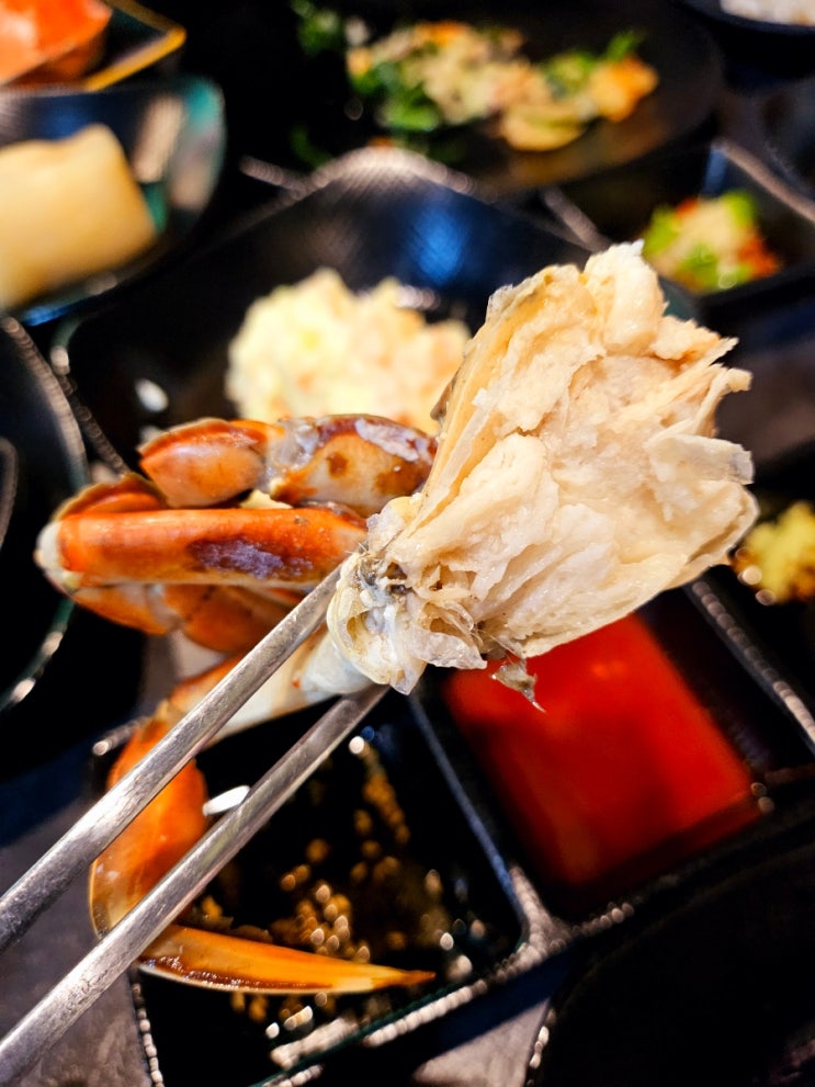  부산술집 문현동 오마카세 안주맛집 추천 술제이