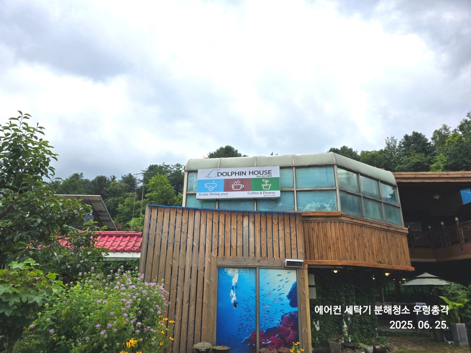 돌핀하우스 사진 2