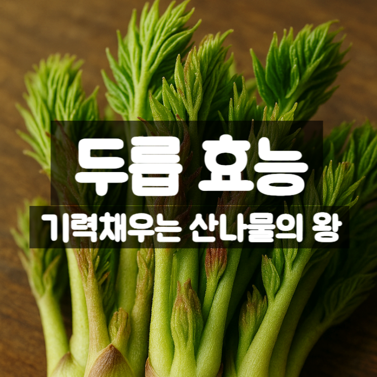  두릅 효능 요리법 총정리 – 봄철 기력 채우는 산나물의 왕