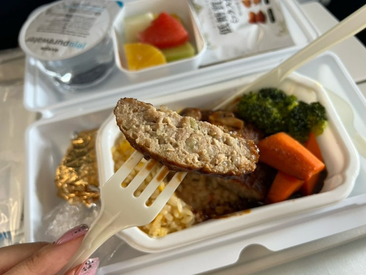  오사카 간사이공항에서 인천공항 대한항공 일본노선 기내식 리뷰