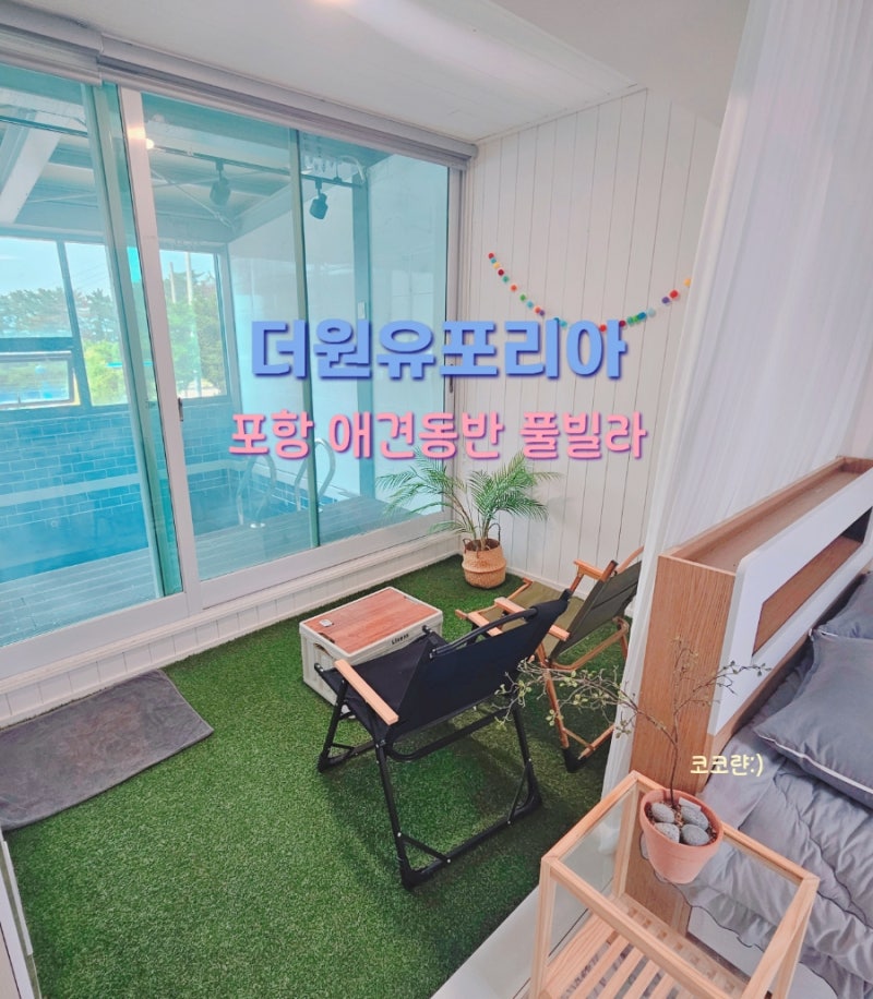 사진 4
