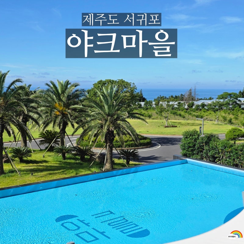 사진 10