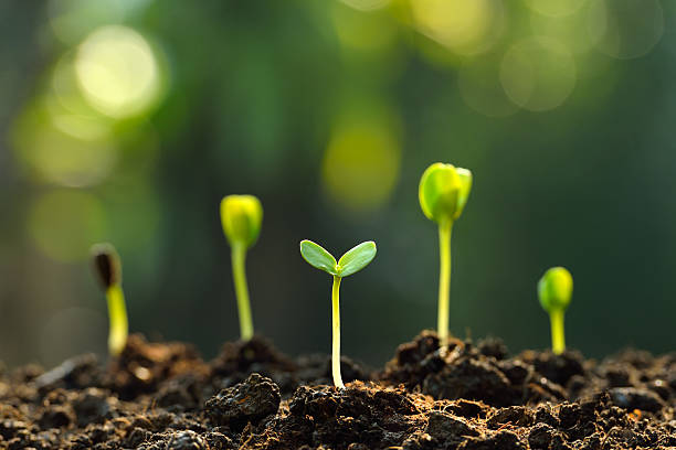  가난과 부유, 그 차이는 돈이 아니라 OOO이다