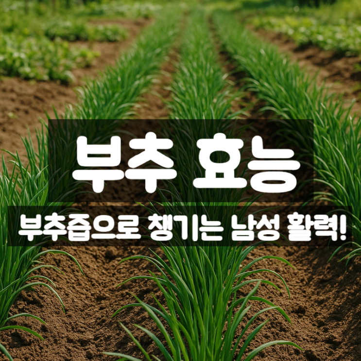  부추 효능 부작용 – 부추즙은 남성활력을 채워줄까?