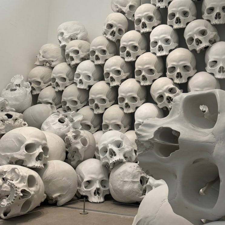  서울 국립현대미술관 | 론 뮤익 Ron Mueck, 한국현대미술 하이라이트 평일 관람 후기