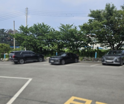 사진 6